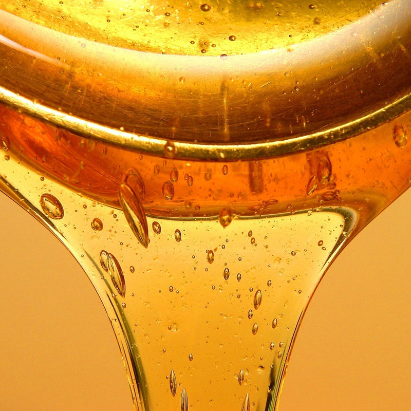 The Natural Ingredient You Can’t Ignore: Lecithin in Daily Shield SPF 50